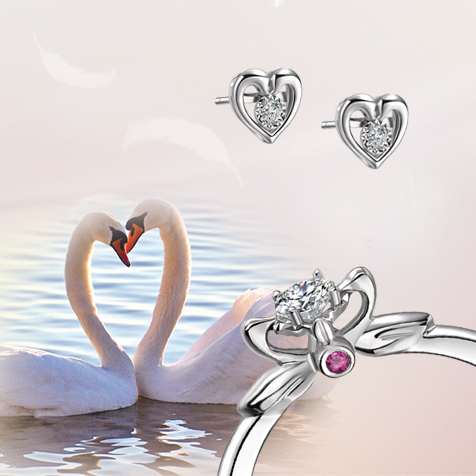 請(qǐng)?zhí)顚憳?biāo)題