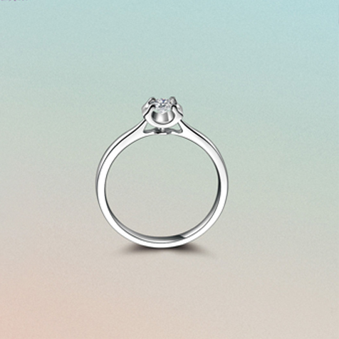 請?zhí)顚憳?biāo)題