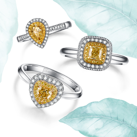 請?zhí)顚憳?biāo)題