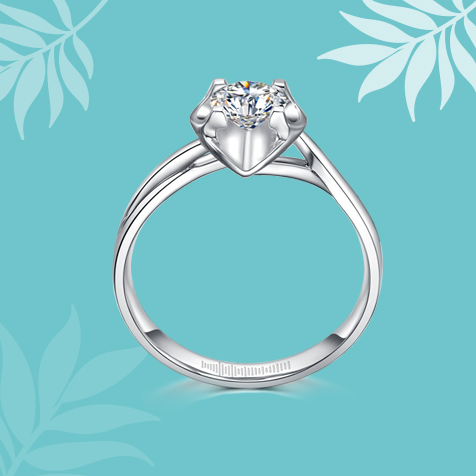 請?zhí)顚憳?biāo)題