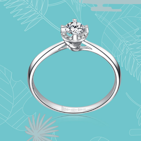 請(qǐng)?zhí)顚憳?biāo)題