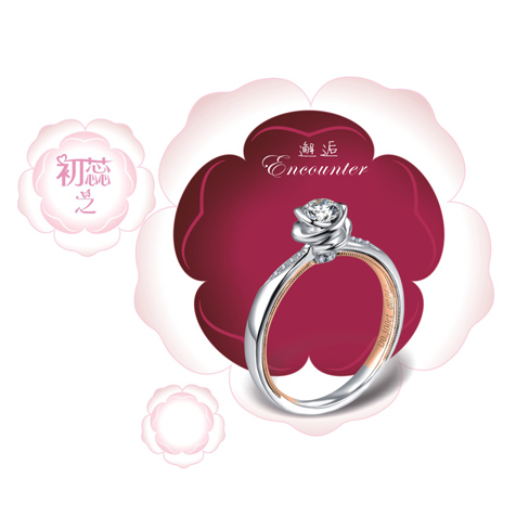 請?zhí)顚憳?biāo)題